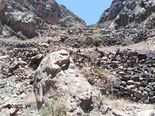 زيارة تفقدية الى نقيل شجاع (الشرفة بني حشيش)